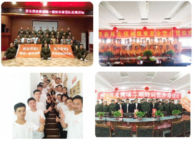 发展优势1.png